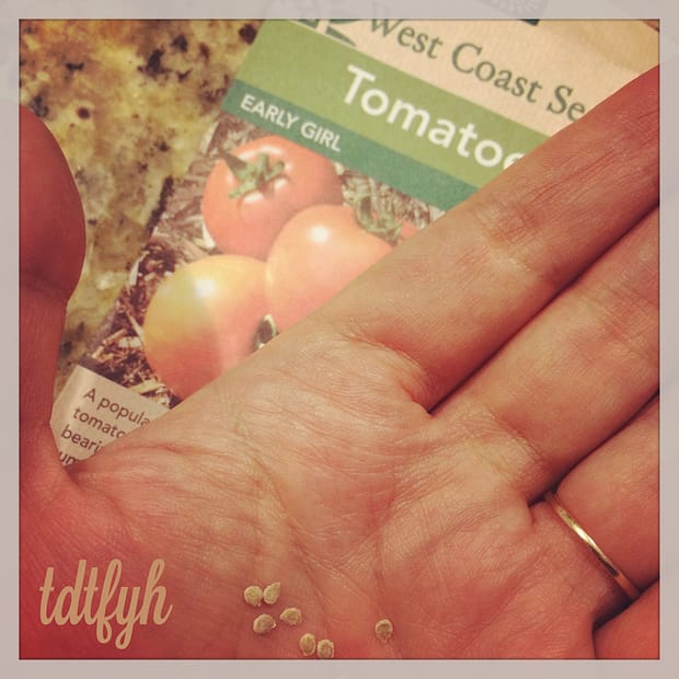 80. Grow tomatoes