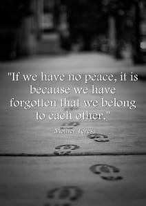 if-we-have-no-peace-it-is-because-we-have-forgotten-that-we-belong-to-each-other-mother-teresa-mother-quote