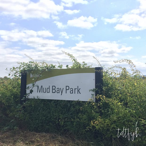 32. Watershed Park to Mud Bay